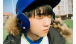 娱乐圈爆料任嘉伦鹿晗视频